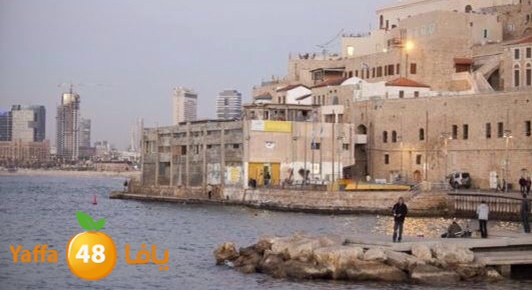 mina2 yaffa dareba 02034 (1).jpg